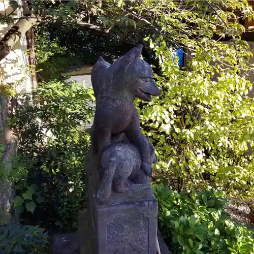 烏森稲荷神社の狛犬