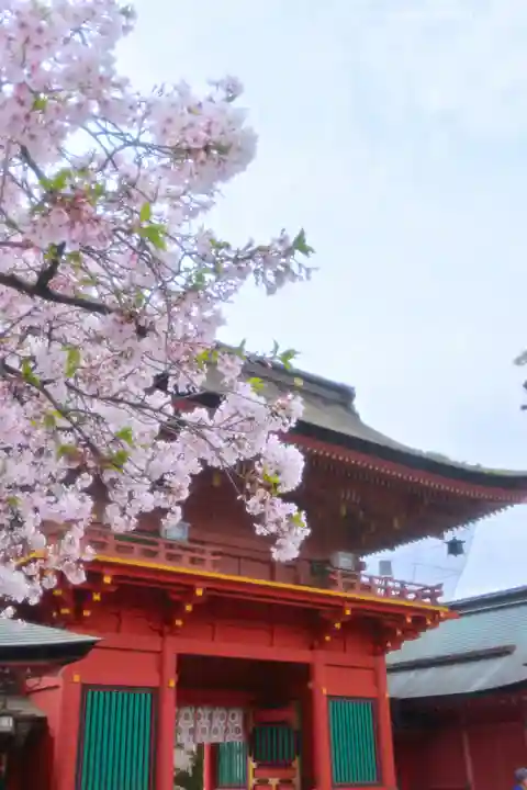 富士山本宮浅間大社(静岡県)