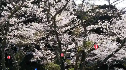 小國神社の自然