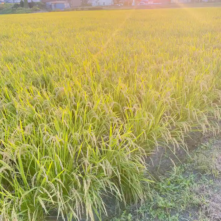 埼玉厄除け開運大師・龍泉寺(切り絵御朱印発祥の寺)の周辺