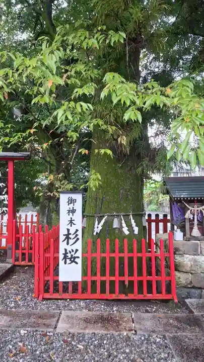 本宮神社(高知県)