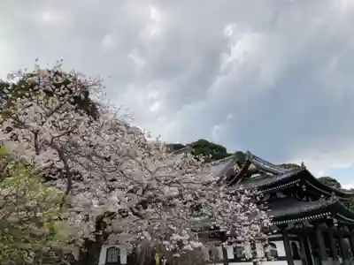 長谷寺(神奈川県)