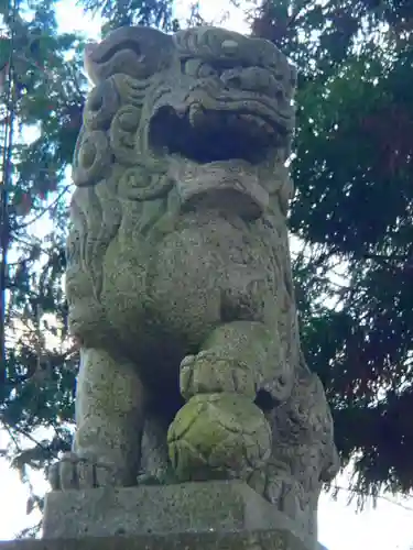 土田白鬚神社の狛犬