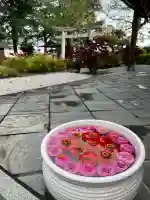 立志神社(滋賀県)