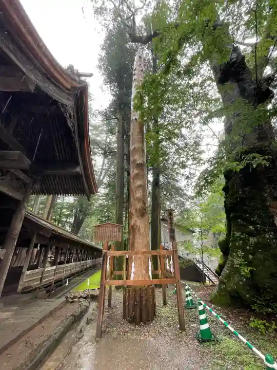 諏訪大社(長野県)