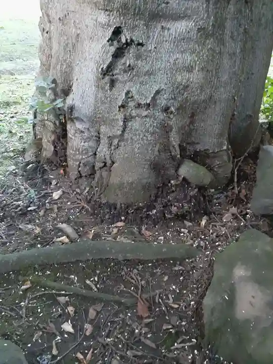 駒形神社(岩手県)