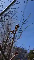 阿邪訶根神社の自然