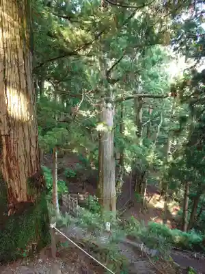 玉置神社(奈良県)
