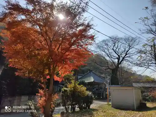 根古屋神社のその他建物