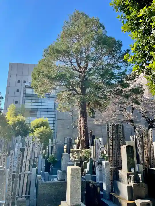 福昌寺の{uncategorized: "未分類", other: "その他", undefined: "問題あり", building: "その他建物", grave: "お墓", sacred_gate: "鳥居", guardian: "狛犬", statue: "像", buddha: "仏像", history: "歴史", nature: "自然", garden: "庭園", animal: "動物", pagoda: "塔", temizu: "手水舎", mountain_gate: "山門・神門", sanctuary: "本殿・本堂", subordinate: "末社・摂社", art: "芸術", scenery: "景色", jizo: "地蔵", ema: "絵馬", goshuin: "御朱印", omikuji: "おみくじ", items: "授与品その他", amulet: "お守り", goshuincho: "御朱印帳", eats: "食事", festival: "お祭り", votive_dance: "神楽", shichigosan: "七五三参", wedding: "結婚式", experience: "体験その他", initially: "初詣", around: "周辺", anti_infection: "感染症対策"}