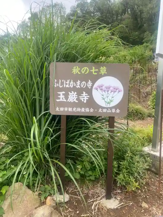 玉巌寺(群馬県)
