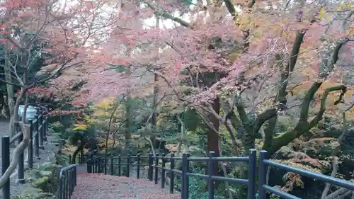 清水寺の景色