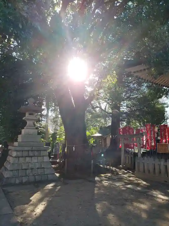 諏訪神社(東京都)