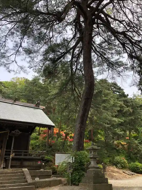 建勲神社のその他建物