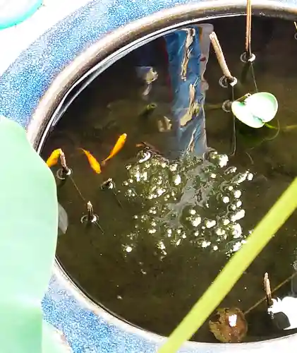 福寿観音(東京都)