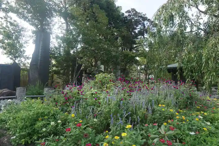 西新井大師総持寺の庭園