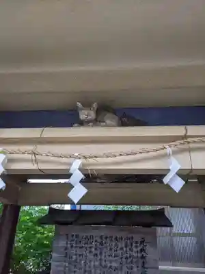 元城町東照宮の芸術