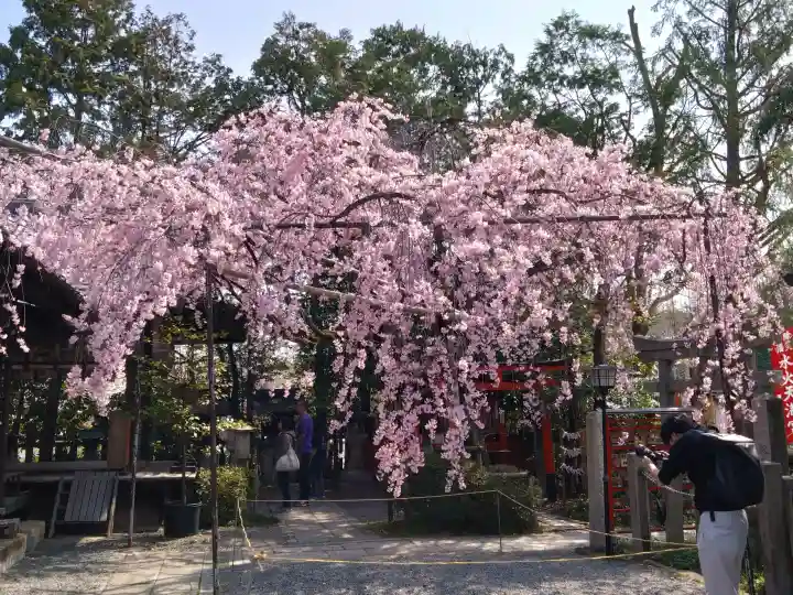 水火天満宮の{uncategorized: "未分類", other: "その他", undefined: "問題あり", building: "その他建物", grave: "お墓", sacred_gate: "鳥居", guardian: "狛犬", statue: "像", buddha: "仏像", history: "歴史", nature: "自然", garden: "庭園", animal: "動物", pagoda: "塔", temizu: "手水舎", mountain_gate: "山門・神門", sanctuary: "本殿・本堂", subordinate: "末社・摂社", art: "芸術", scenery: "景色", jizo: "地蔵", ema: "絵馬", goshuin: "御朱印", omikuji: "おみくじ", items: "授与品その他", amulet: "お守り", goshuincho: "御朱印帳", eats: "食事", festival: "お祭り", votive_dance: "神楽", shichigosan: "七五三参", wedding: "結婚式", experience: "体験その他", initially: "初詣", around: "周辺", anti_infection: "感染症対策"}