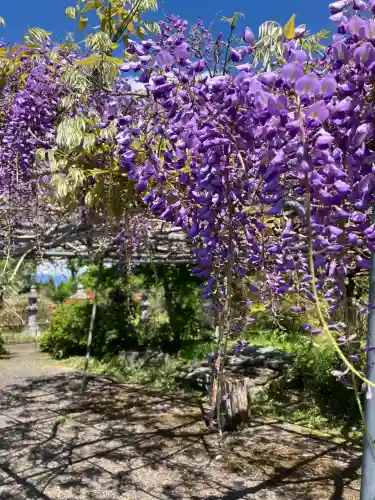 観音寺（沢観音）(栃木県)
