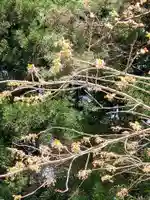 磐椅神社(福島県)