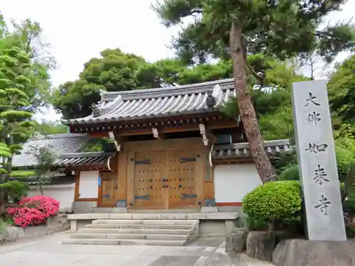 養玉院如来寺の山門