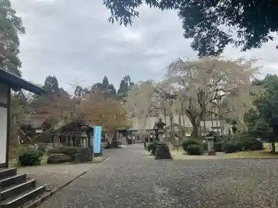 足羽神社(福井県)