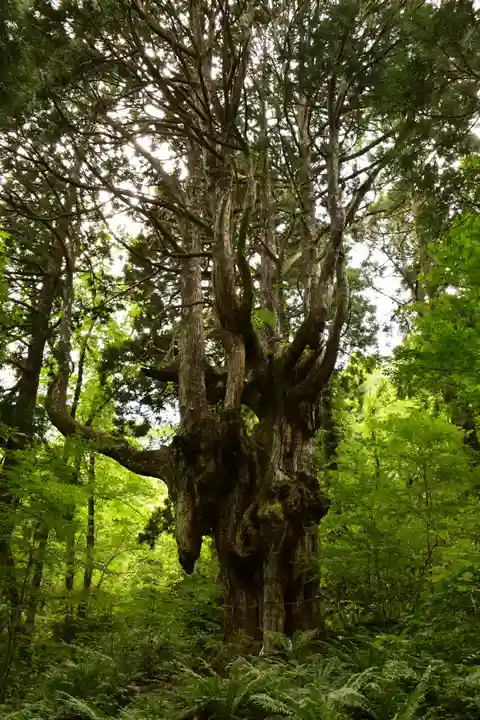 白島神社(島根県)