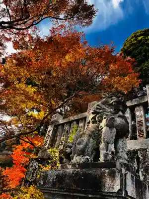 大山阿夫利神社(神奈川県)