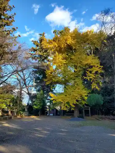 雄琴神社(栃木県)