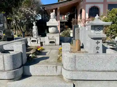 中台寺の{uncategorized: "未分類", other: "その他", undefined: "問題あり", building: "その他建物", grave: "お墓", sacred_gate: "鳥居", guardian: "狛犬", statue: "像", buddha: "仏像", history: "歴史", nature: "自然", garden: "庭園", animal: "動物", pagoda: "塔", temizu: "手水舎", mountain_gate: "山門・神門", sanctuary: "本殿・本堂", subordinate: "末社・摂社", art: "芸術", scenery: "景色", jizo: "地蔵", ema: "絵馬", goshuin: "御朱印", omikuji: "おみくじ", items: "授与品その他", amulet: "お守り", goshuincho: "御朱印帳", eats: "食事", festival: "お祭り", votive_dance: "神楽", shichigosan: "七五三参", wedding: "結婚式", experience: "体験その他", initially: "初詣", around: "周辺", anti_infection: "感染症対策"}
