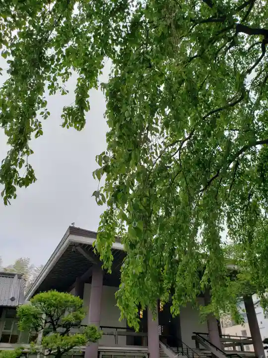 常圓寺のその他建物