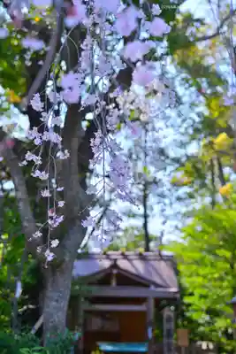 伊勢山皇大神宮(神奈川県)