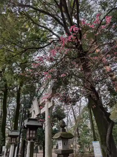 布多天神社(東京都)