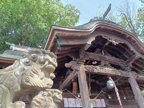 阿邪訶根神社の狛犬