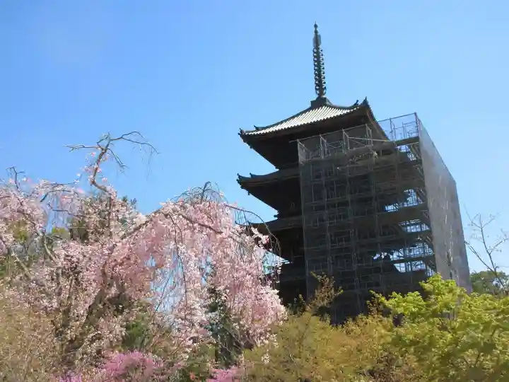 仁和寺の塔