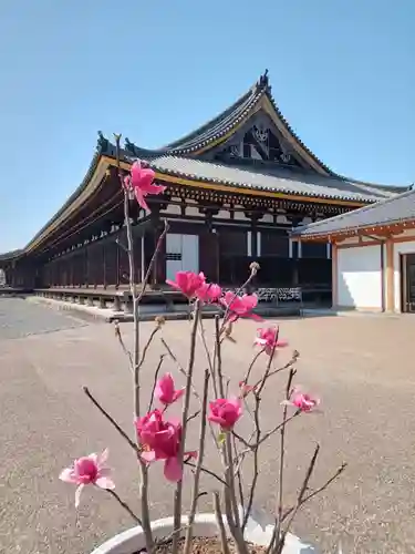 蓮華王院（三十三間堂）(京都府)