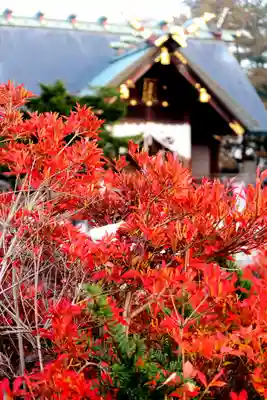 滝川神社の自然