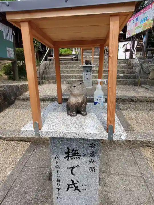 白國神社の狛犬