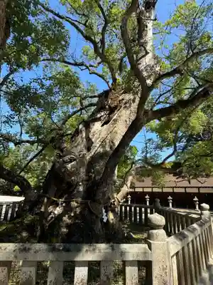 大山祇神社(愛媛県)
