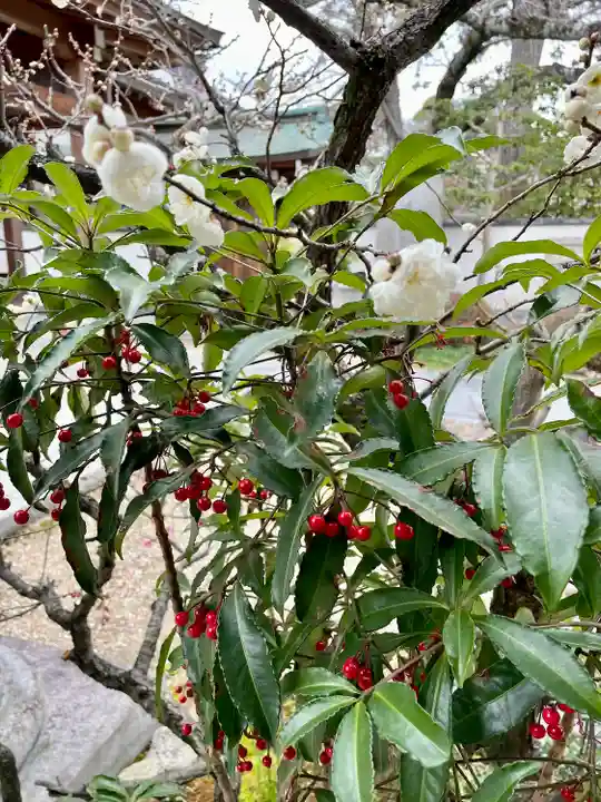 観音院(兵庫県)