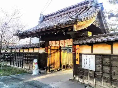 四季桜の寺 妙乗院の山門