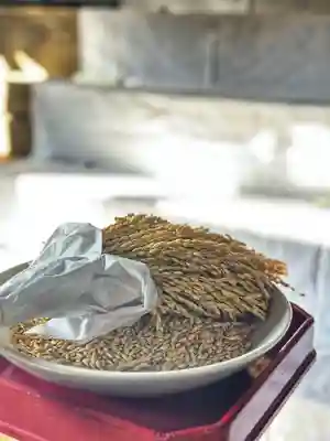 手力雄神社(岐阜県)