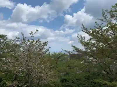 園城寺（三井寺）(滋賀県)