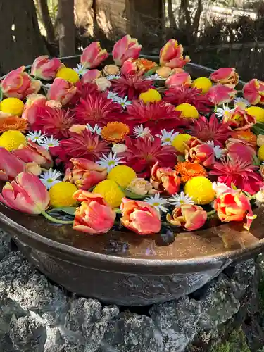 武蔵一宮氷川神社(埼玉県)