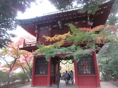 本土寺の山門・神門