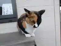 金蔵寺(千葉県)