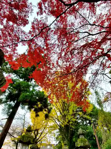 神炊館神社 ⁂奥州須賀川総鎮守⁂の景色