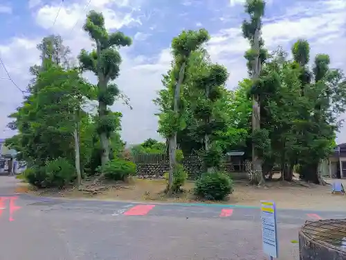 千代神社の自然