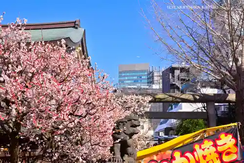湯島天満宮(東京都)