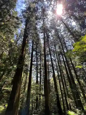 岩屋寺(愛媛県)